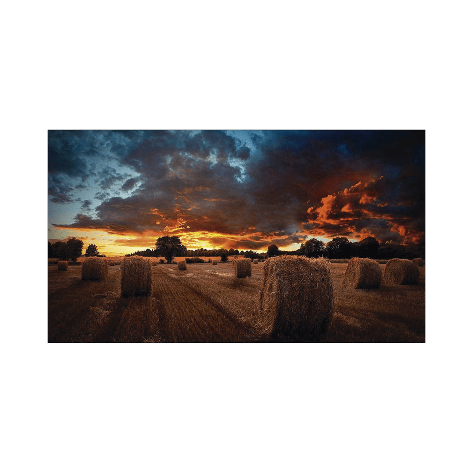 Pantalla Profesional LED de 55″ para Video Wall, Full HD (1080p), HDMI/DVI-D/DP, Bisel Ultra Delgado de 2.3mm. Compatible VESA VM55BU - SAMSUNG ELECTRONICS