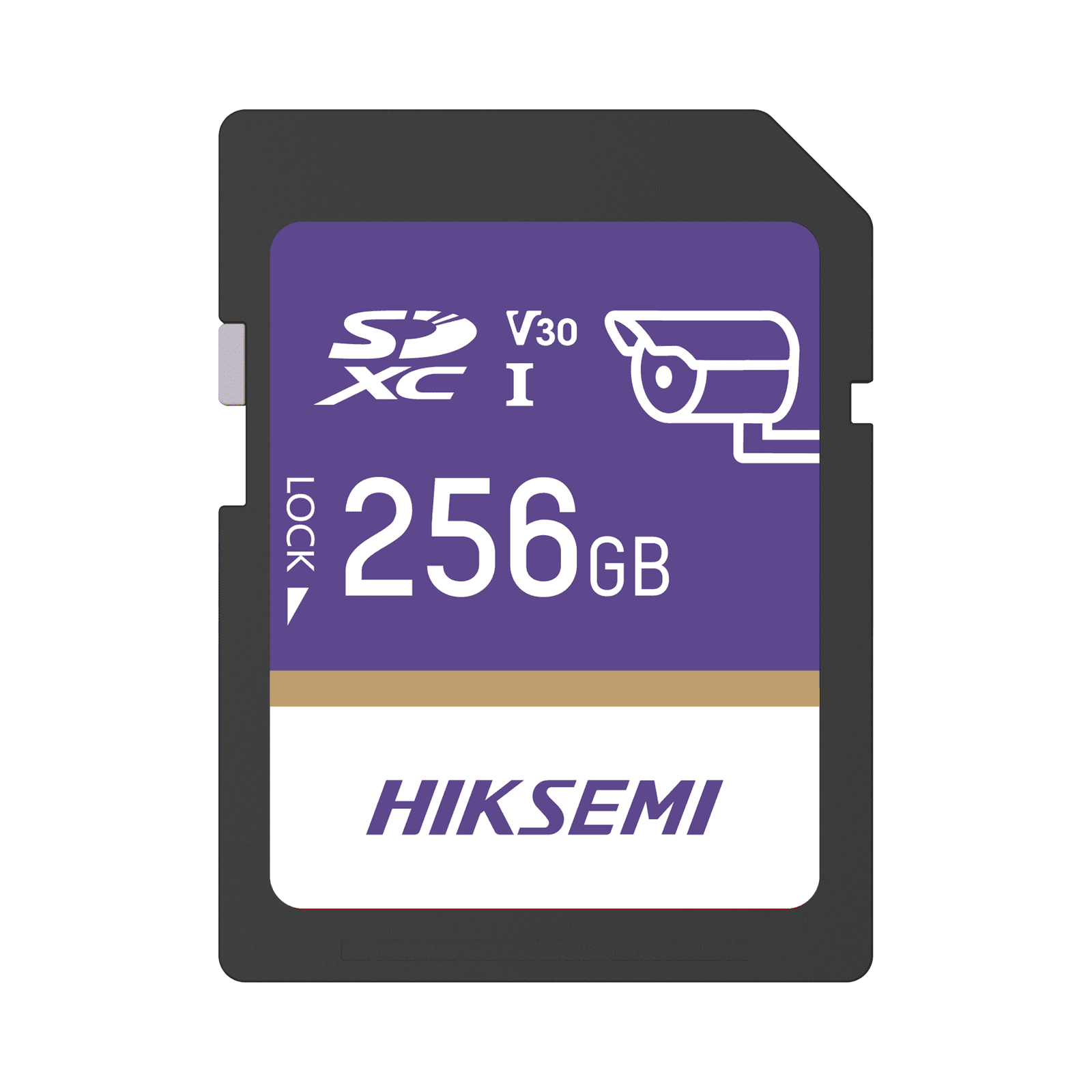 Memoria SD Clase 10 de 256 GB / Especializada Para Videovigilancia HS-SD-P10/256G/GUARDPRO - HIKSEMI by HIKVISION