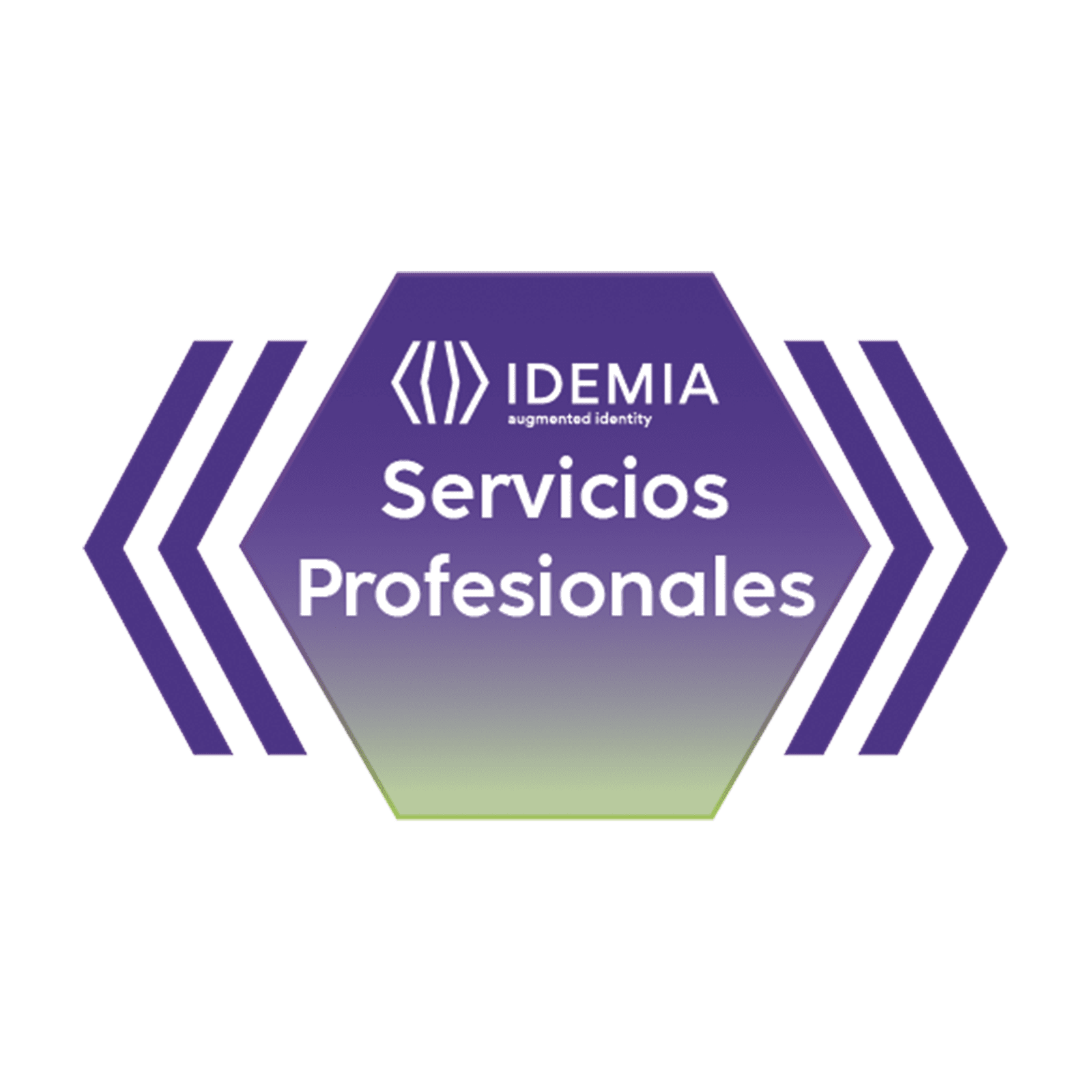 REMOTE ASSISTANCE JUNIOR 4 HORAS 287889259 - IDEMIA (MORPHO)