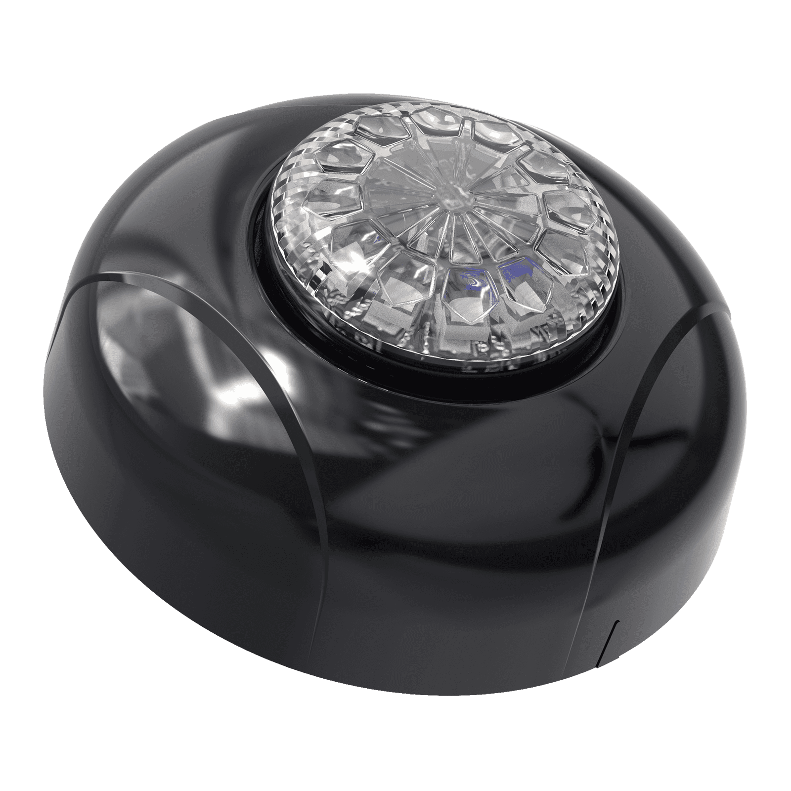 Estrobo Oculto de 12 LED, Brida negra, 12 Vcd, Rojo/Azul, Lente transparente SPF12RB - SIGNALPRO