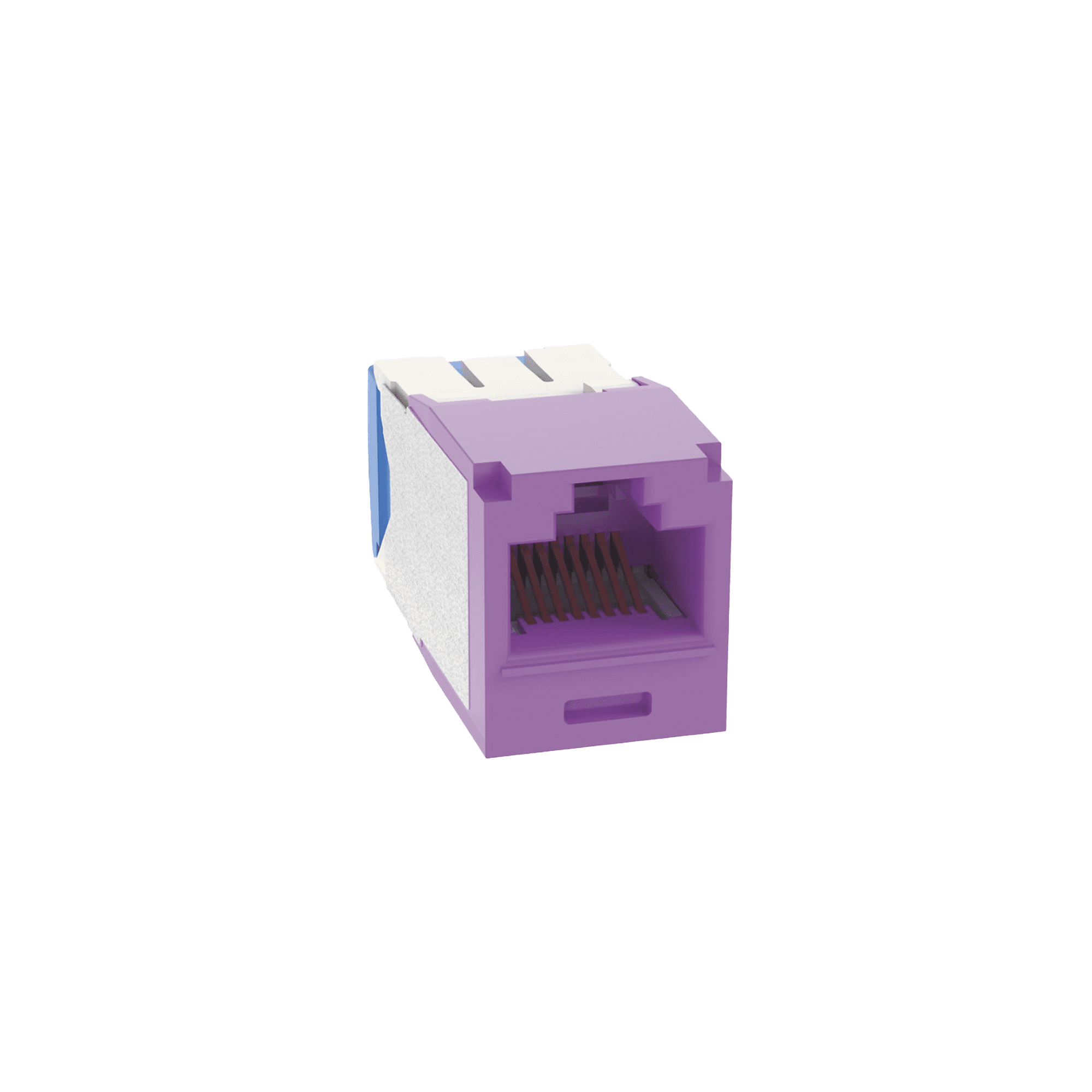 Conector Jack RJ45 Estilo TG, Mini-Com, Categoría 6A, de 8 posiciones y 8 cables, Color Violeta CJ6X88TGVL