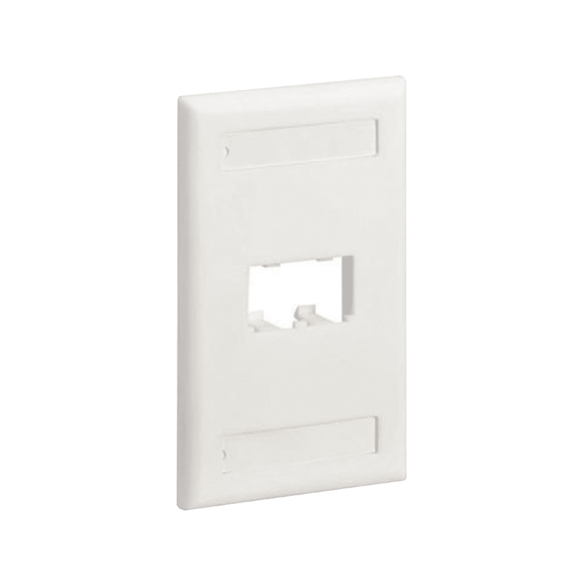 Placa de Pared Vertical Clásica, Salida Para 2 Puertos Mini-Com, Con Espacios Para Etiquetas, Color Blanco Mate CFPL2IWY