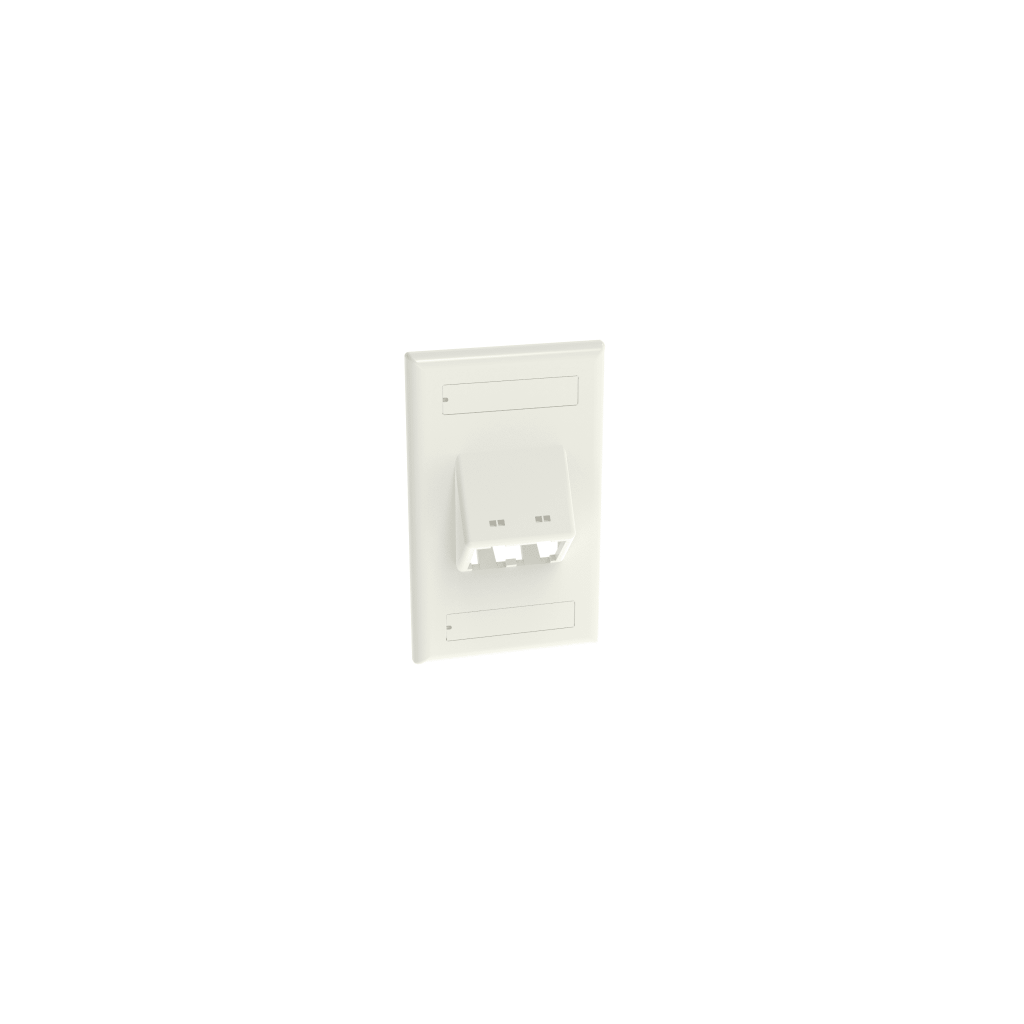 Placa de Pared Vertical Clásica, Salida Para 2 Puertos Mini-Com Inclinados, Con Espacios Para Etiquetas, Color Blanco CFPSL2WHY
