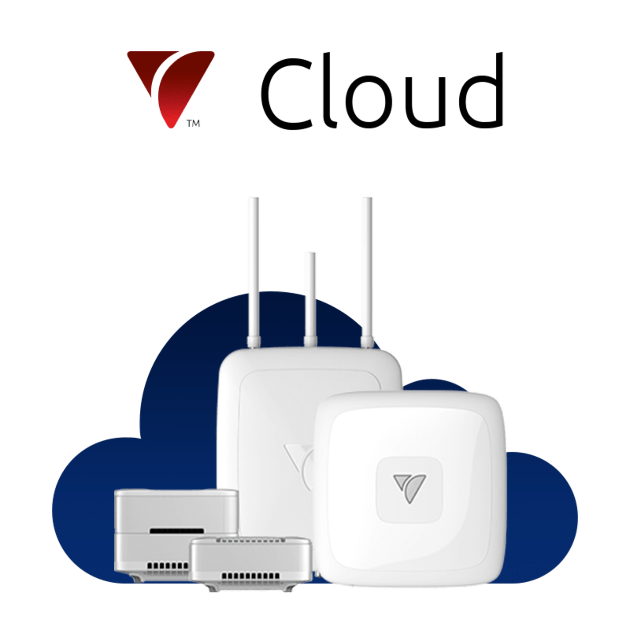 Servicios en la Nube de Veea por 1 año / Gestión Remota y Segura / Telemetría Avanzada / Actualizaciones OTA / Soporte Técnico Continuo / Operación de Dispositivos VeeaHub VEEA-CLOUD-1YR